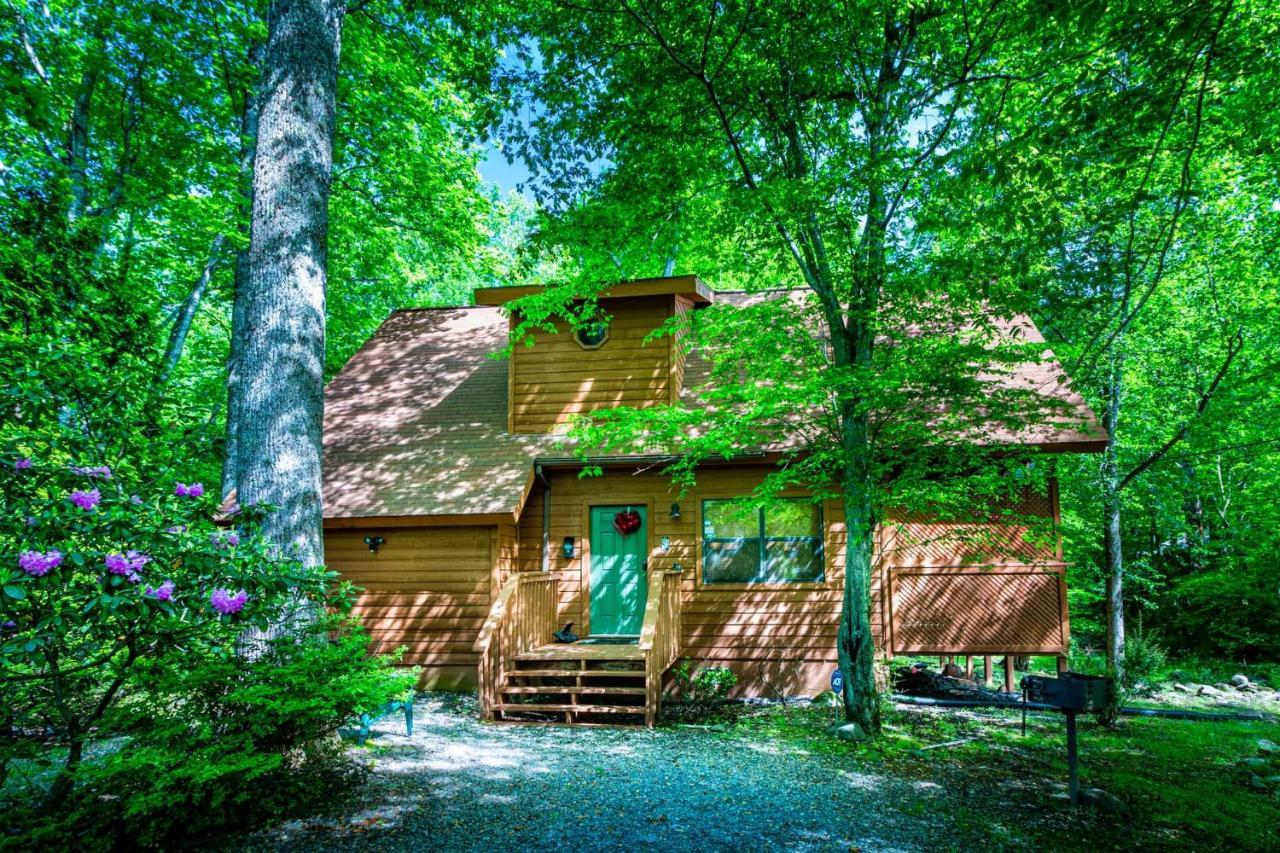 Bear Footin' On The Creek Villa Gatlinburg Bagian luar foto