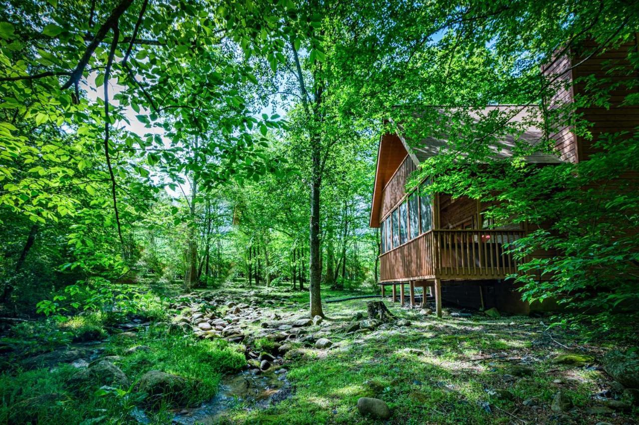 Bear Footin' On The Creek Villa Gatlinburg Bagian luar foto