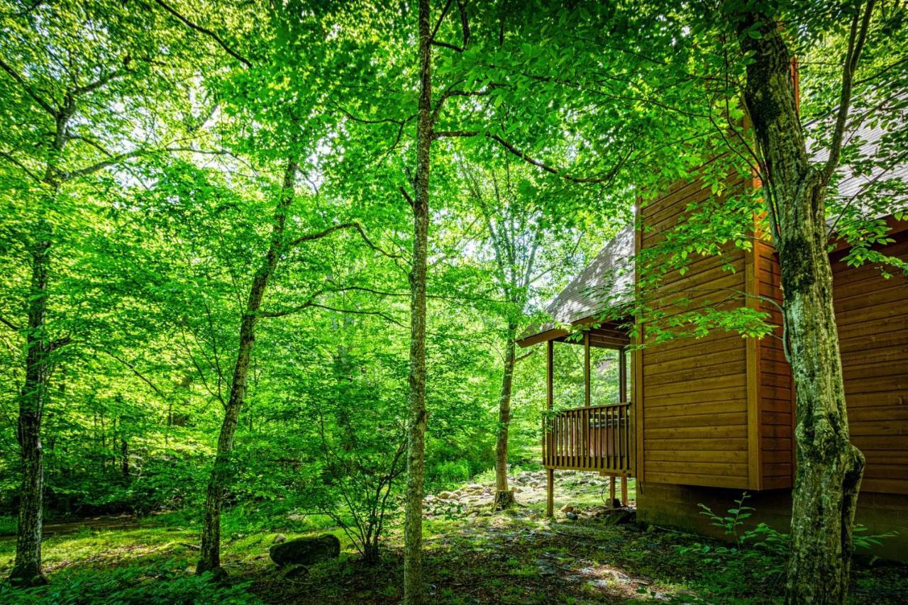 Bear Footin' On The Creek Villa Gatlinburg Bagian luar foto